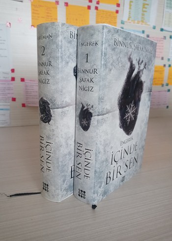 İçinde Bir Sen - Binnur Şafak Nigiz