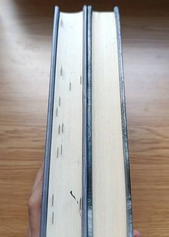 Zeynep Sey'den İki Roman Seti - Görsel 4