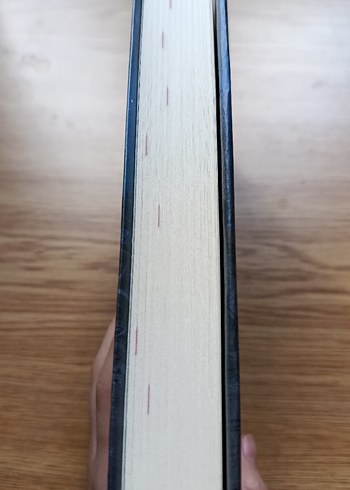 Kıyametin Kıyısında - Corinne Duyvis - Görsel 4