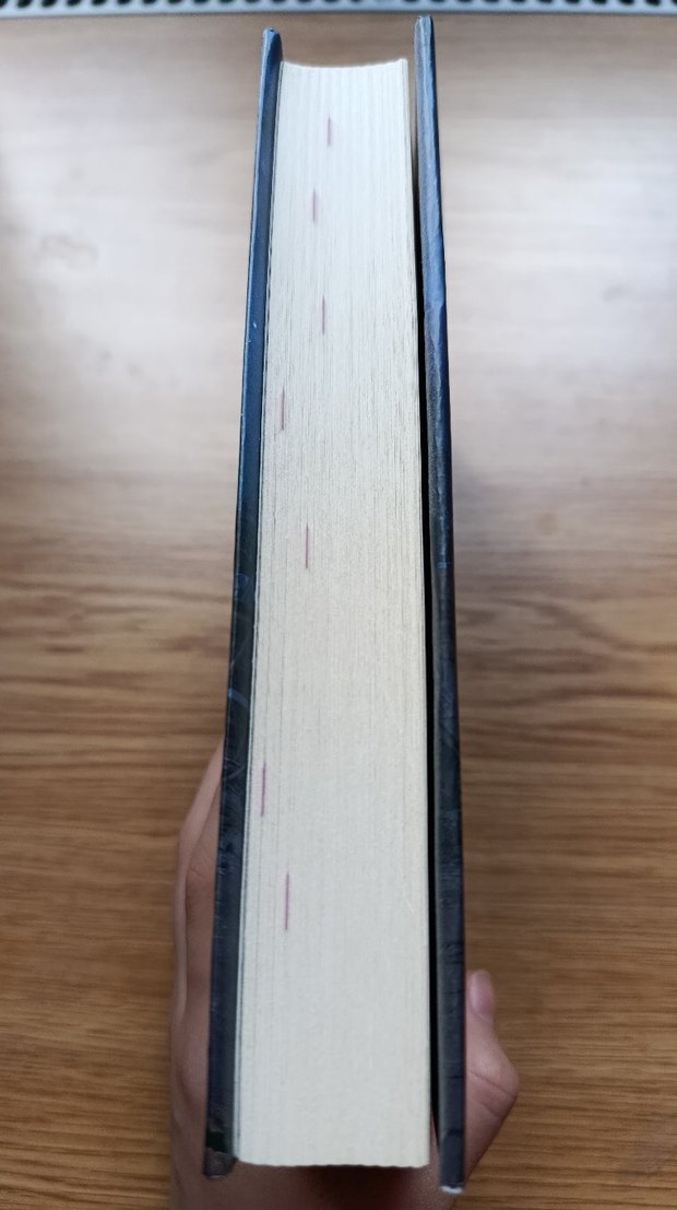 Kıyametin Kıyısında - Corinne Duyvis - Görsel 4