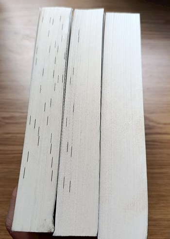 Laura Tihasa Üçlü Roman Seti - Görsel 3