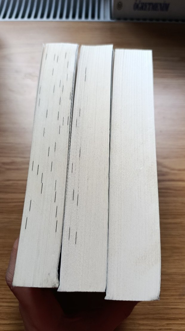 Laura Tihasa Üçlü Roman Seti - Görsel 3