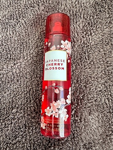 Japanese Cherry Blossom