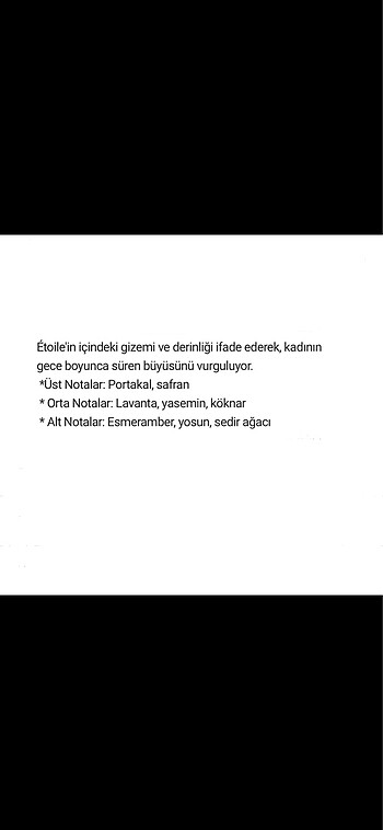 Beden Renk Belle Etoile Pierre Cardin