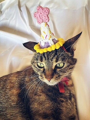 Kedi şapkası