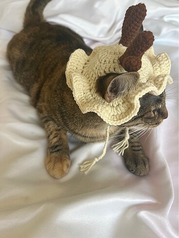 Kedi ve köpek şapkası - Görsel 5