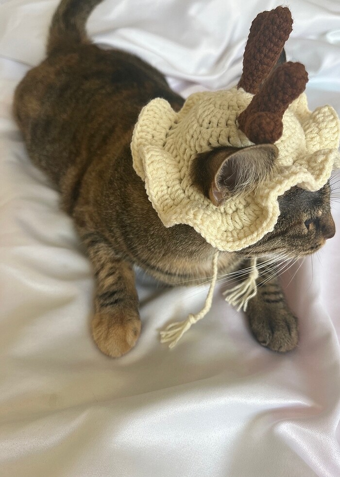 Kedi ve köpek şapkası - Görsel 5