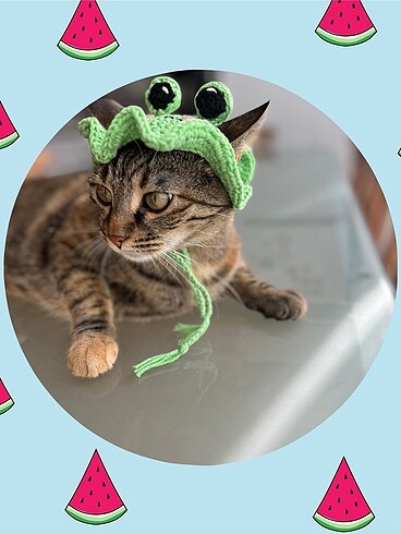 Evcil hayvan aksesuarı - Görsel 3