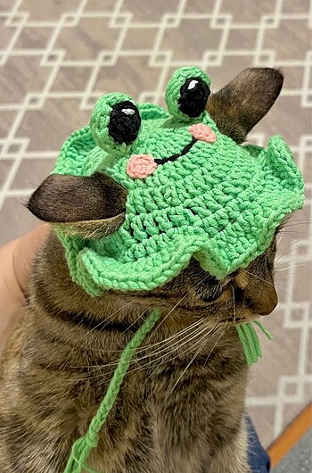 Evcil hayvan aksesuarı - Görsel 5