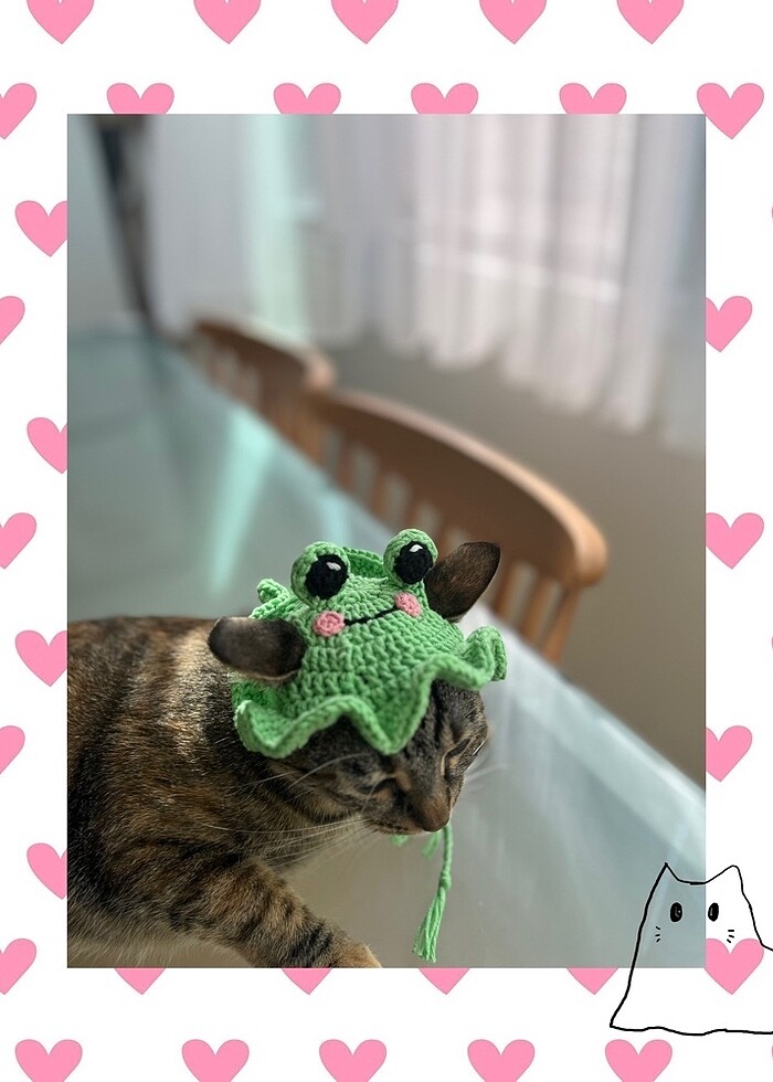 Evcil hayvan aksesuarı - Görsel 2