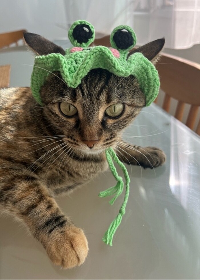 Evcil hayvan aksesuarı - Görsel 4