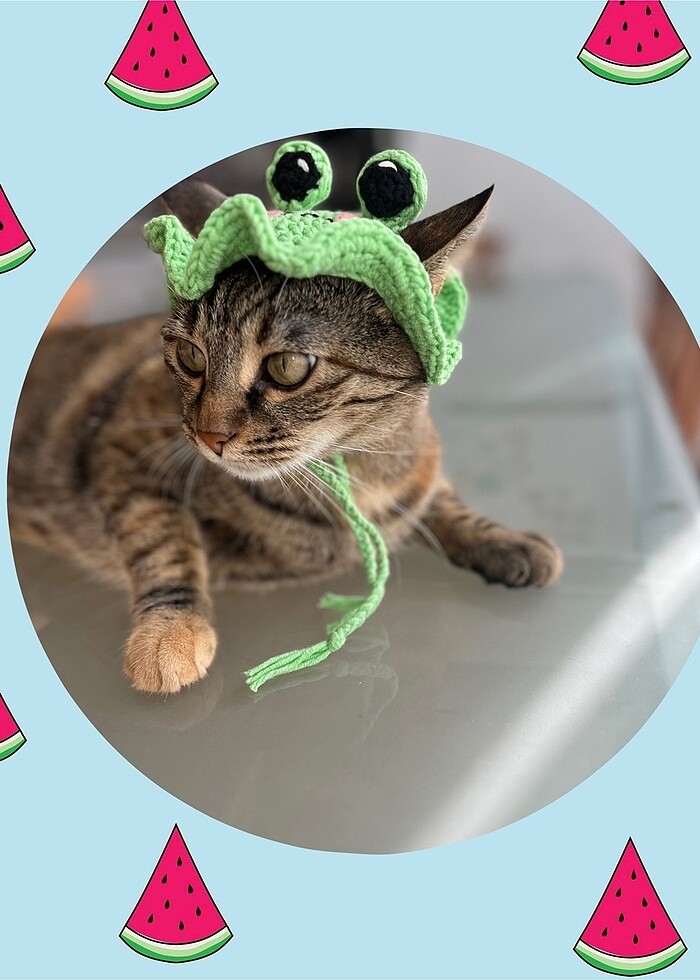 Evcil hayvan aksesuarı - Görsel 3