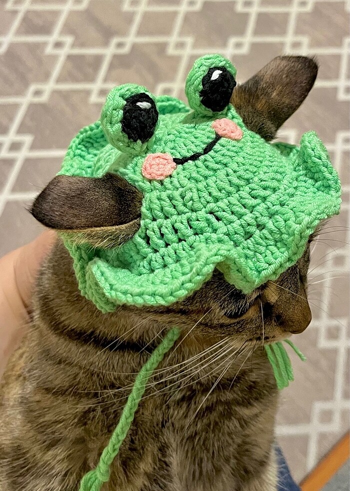 Evcil hayvan aksesuarı - Görsel 5