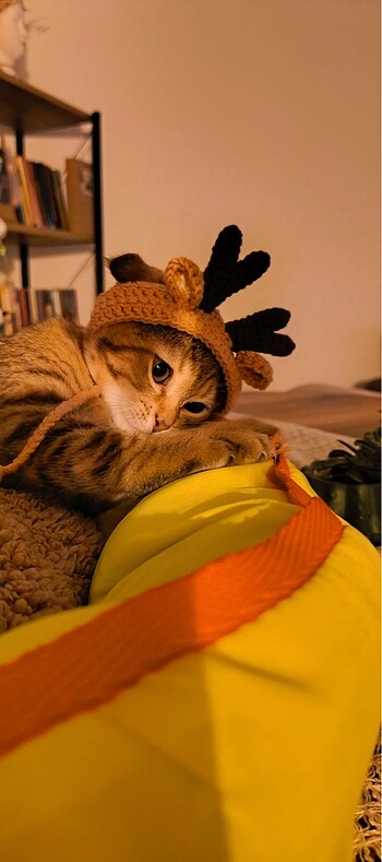 Geyik model kedi şapkası