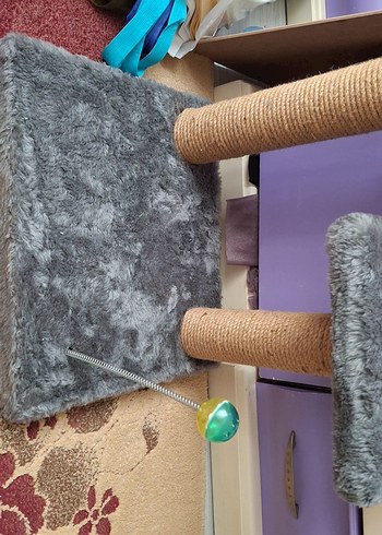 kedi tırmalama tahtası - Görsel 4