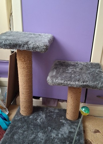 kedi tırmalama tahtası