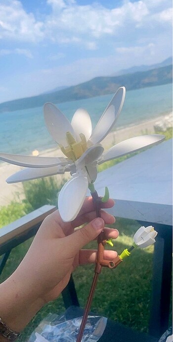 Diğer Gokidy blok çiçek orkide