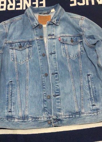Levis xl