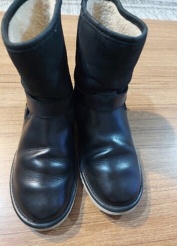Ugg 37