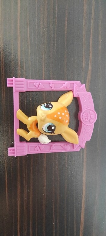  Ceylan Miniş