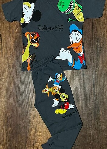 Zara Zara Disney Alt Üst Takım Gri-Gri