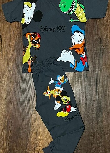 Zara Zara Disney Alt Üst Takım Gri-Gri 