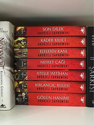The Witcher Set