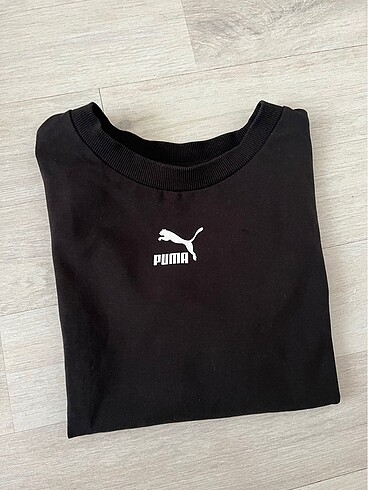 Puma crop