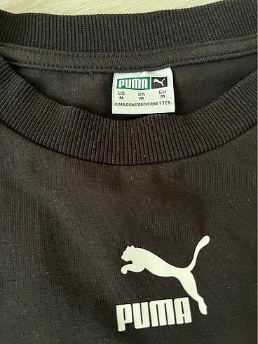 Puma Puma crop