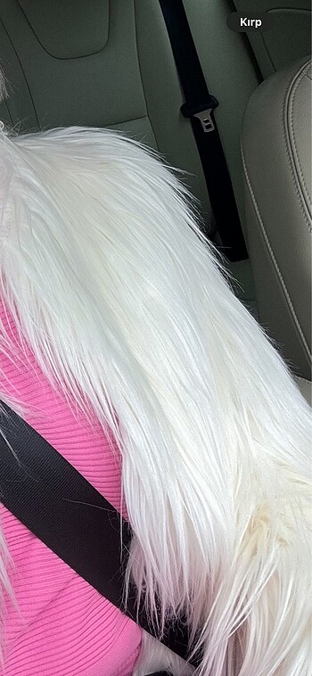 Ipekyol kürk - Görsel 2