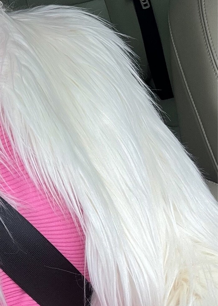 Ipekyol kürk - Görsel 2