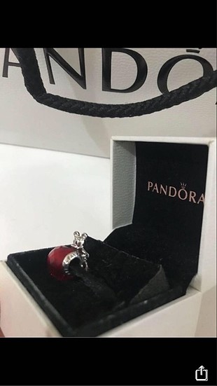 Pandora Pandora charm
