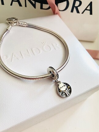  Beden Pandora aile charm