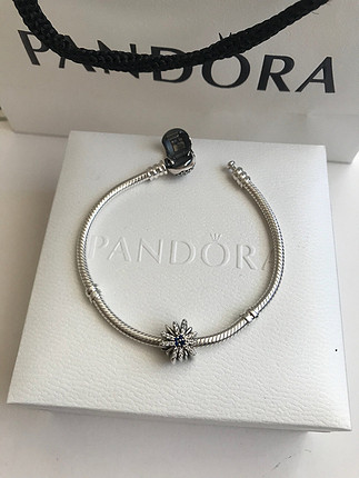 Pandora Pandora charm