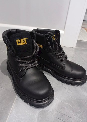 Cat 36