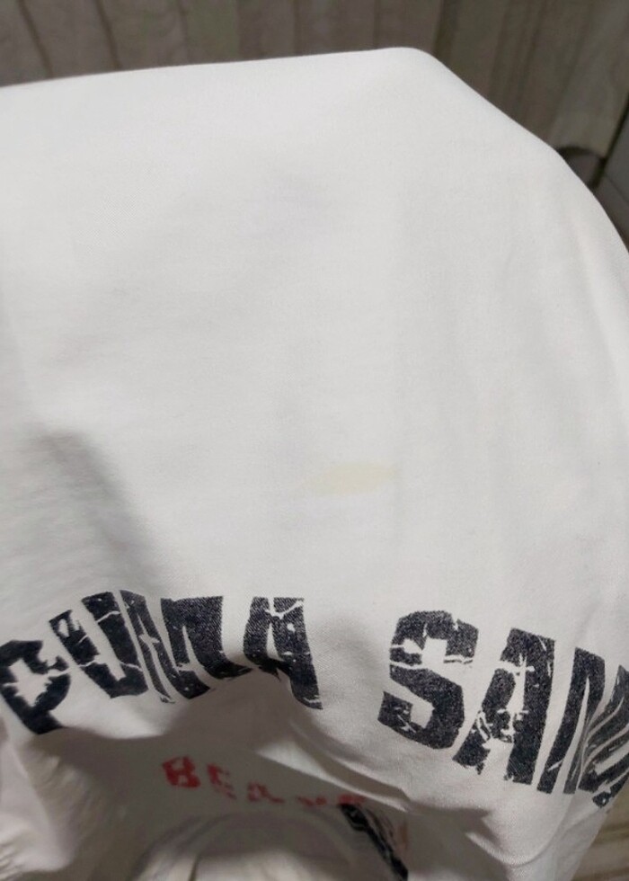 Puma orjinal mağazadan alınmıştı deniz şortu günlükte giyilebili - Görsel 3