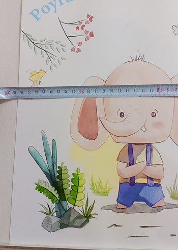 Poyraz Renkli kapı Süslemesi ve çerçeveler - Görsel 12