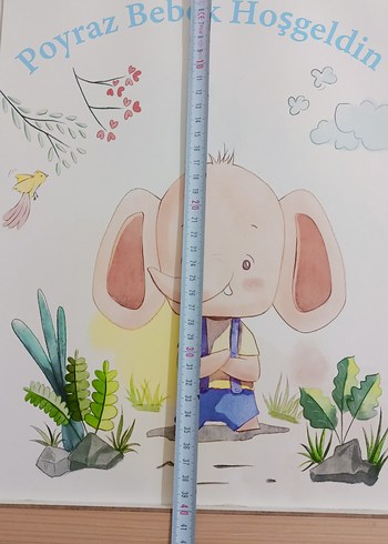 Poyraz Renkli kapı Süslemesi ve çerçeveler - Görsel 4