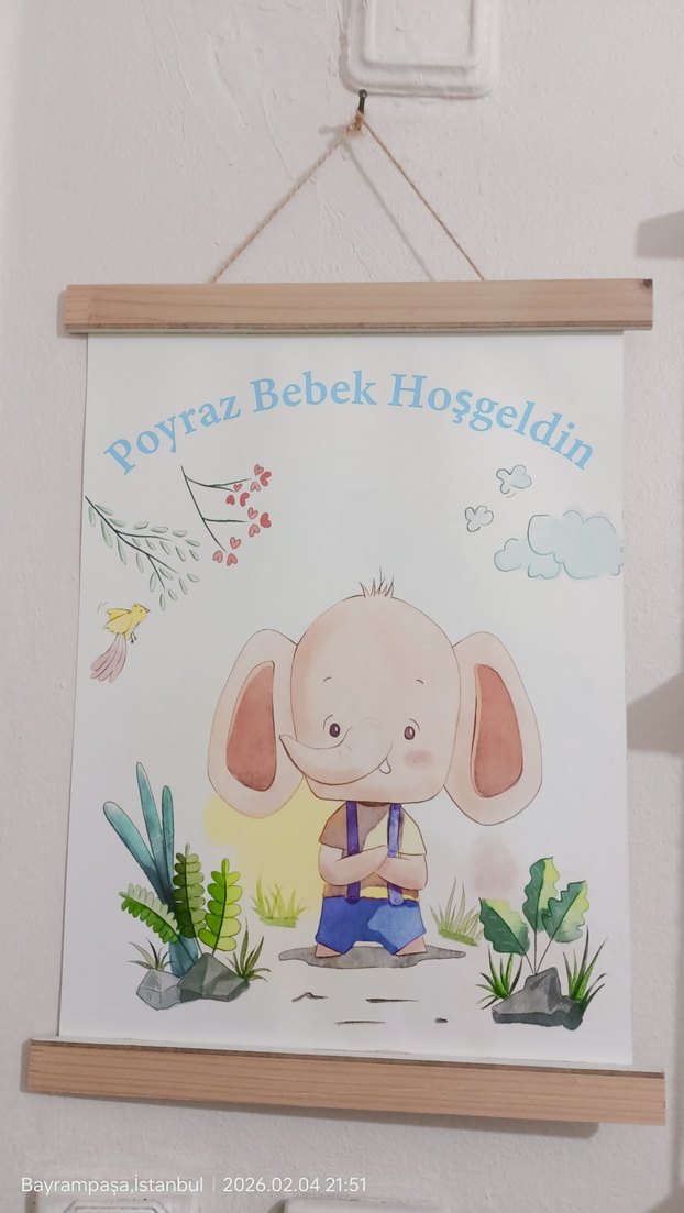 Poyraz Renkli kapı Süslemesi ve çerçeveler - Görsel 3