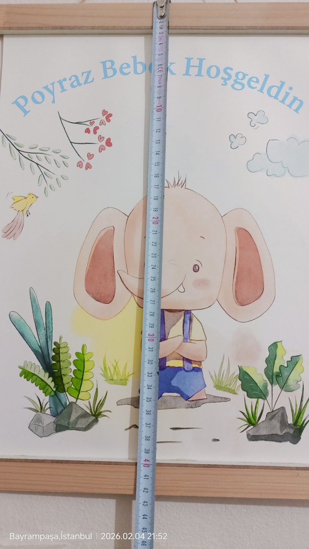 Poyraz Renkli kapı Süslemesi ve çerçeveler - Görsel 4