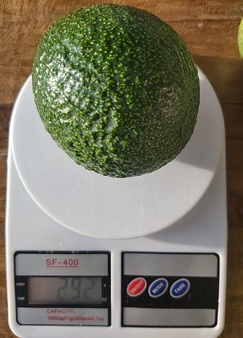 Redd çeşidi avokado 2 KG