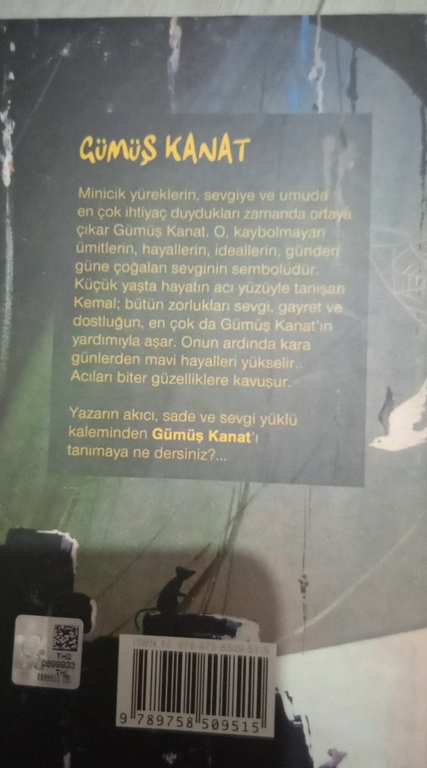 Gümüş Kanat - Cahit Uçuk - Görsel 2