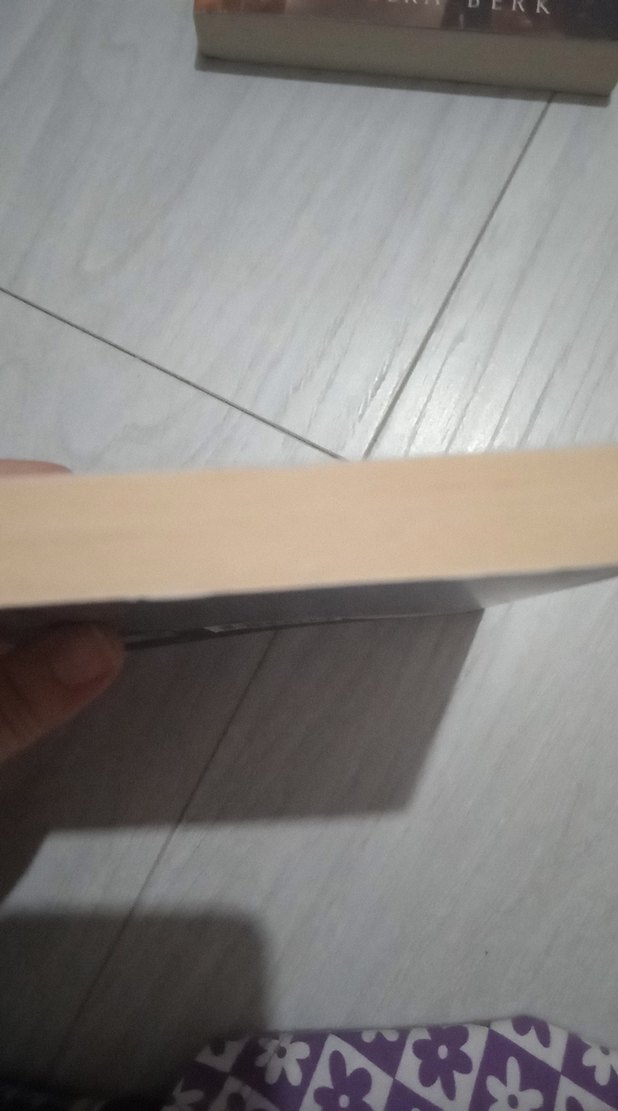 Gümüş Kanat - Cahit Uçuk - Görsel 4