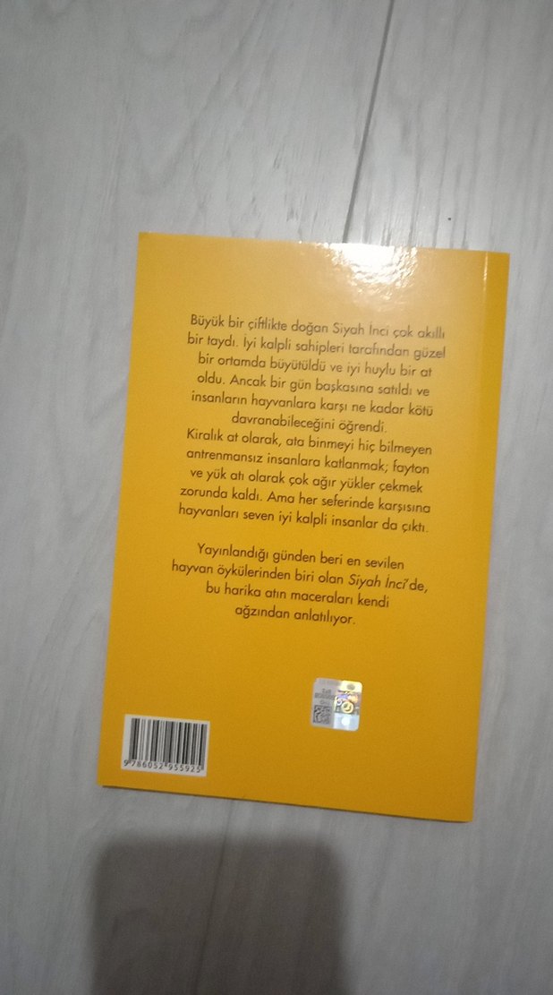 Siyah İnci - Anna Sewell - Görsel 2