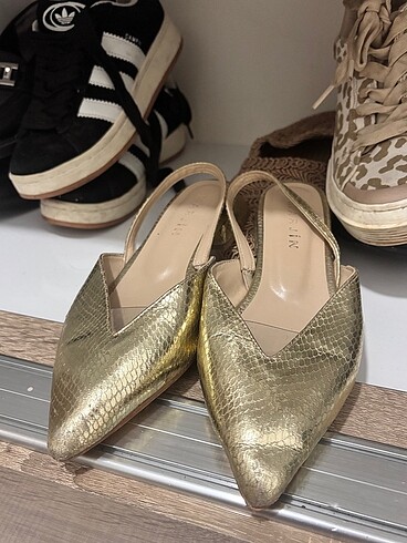 Marjin Gold babet