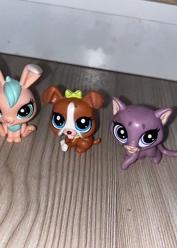  Beden Renk Lps Minişler