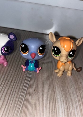  Beden Renk Lps Minişler