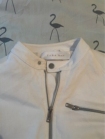 Zara Zara ceket