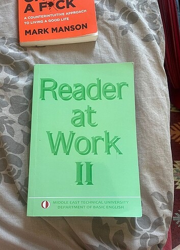 Reader At Work 2