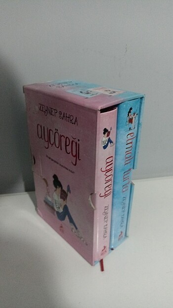  Ayçöreği elmalı turta set